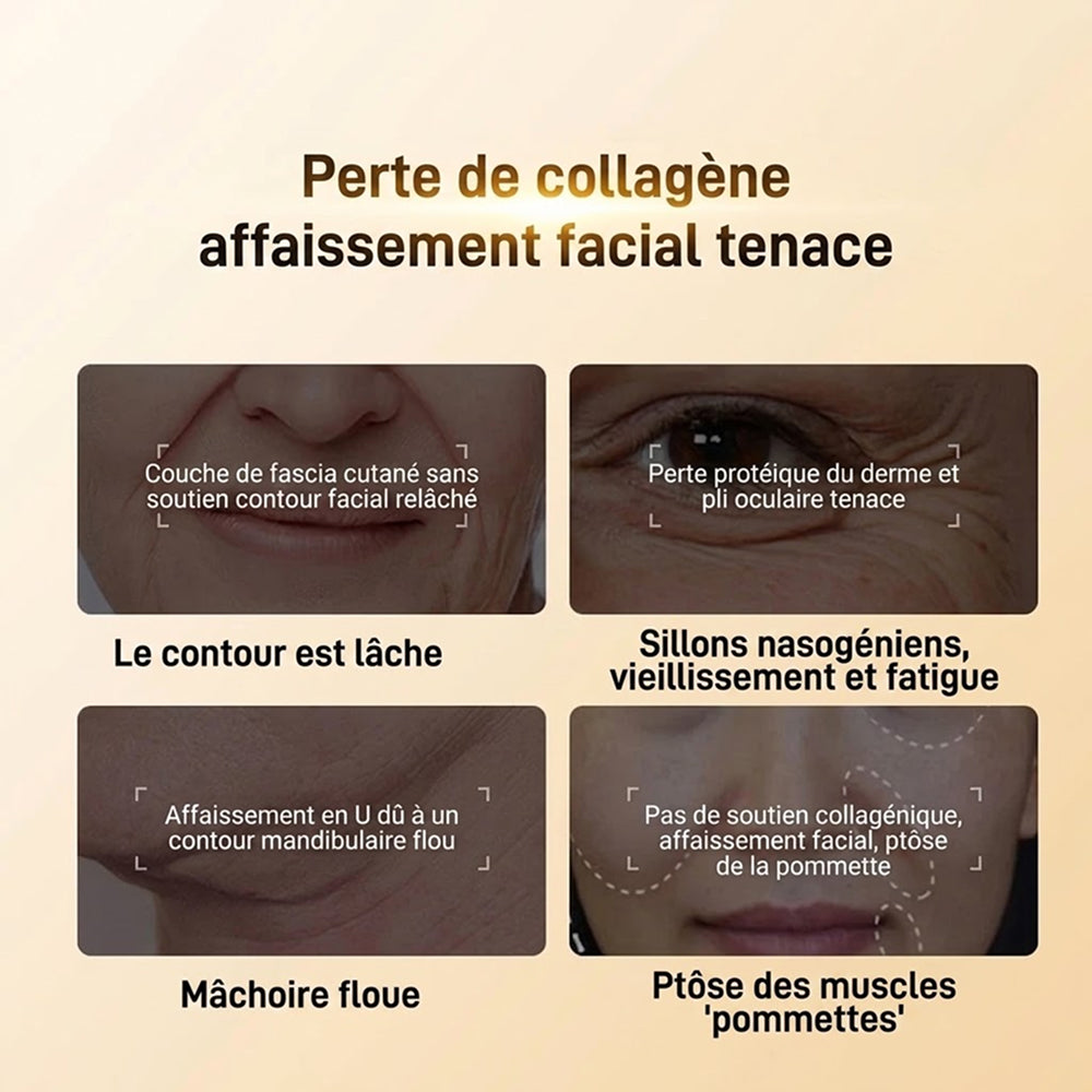 Faciorax