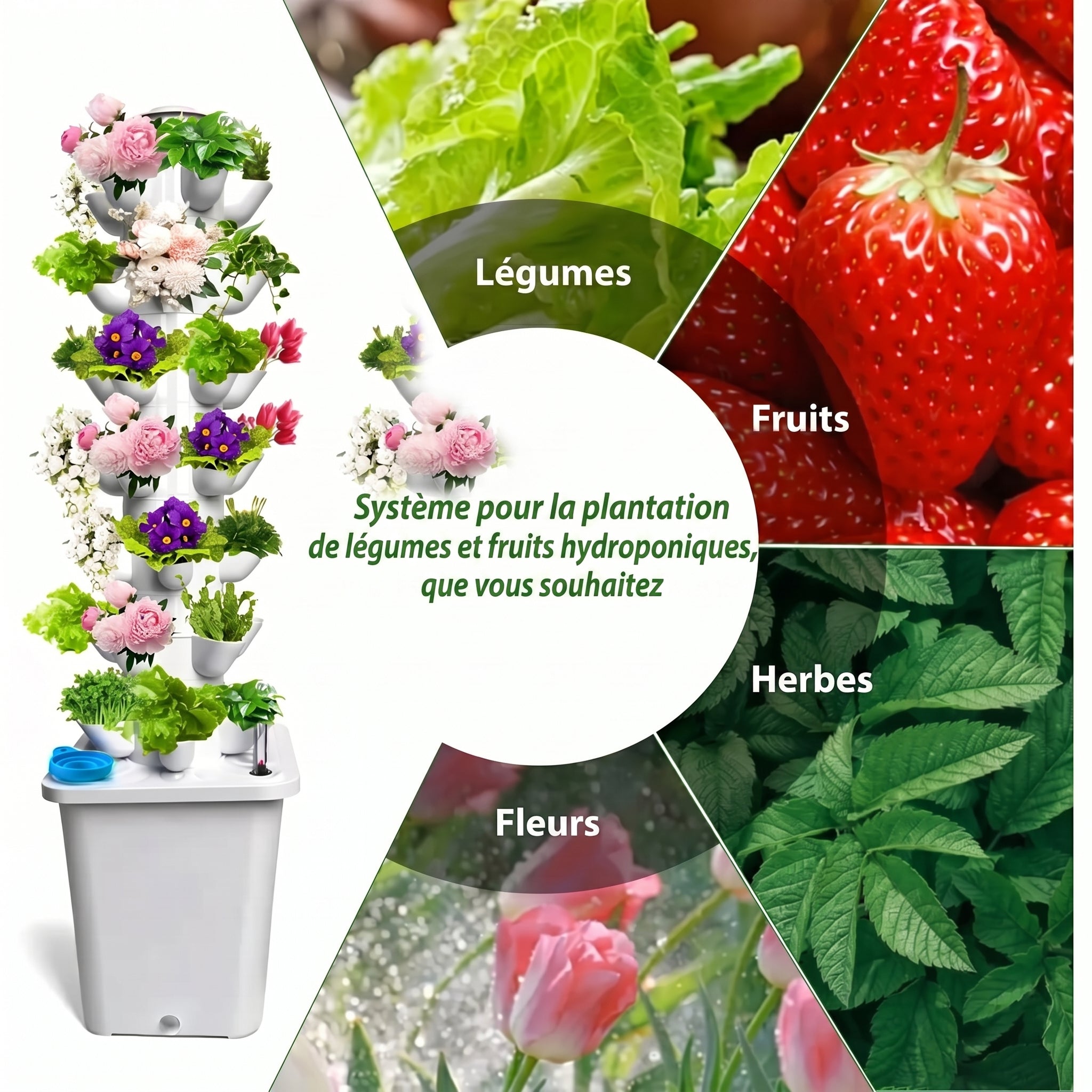 BloomStaki