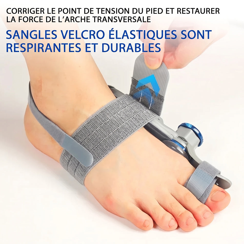 ToeAligna