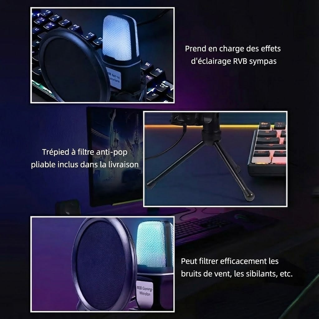 AudiVoxe
