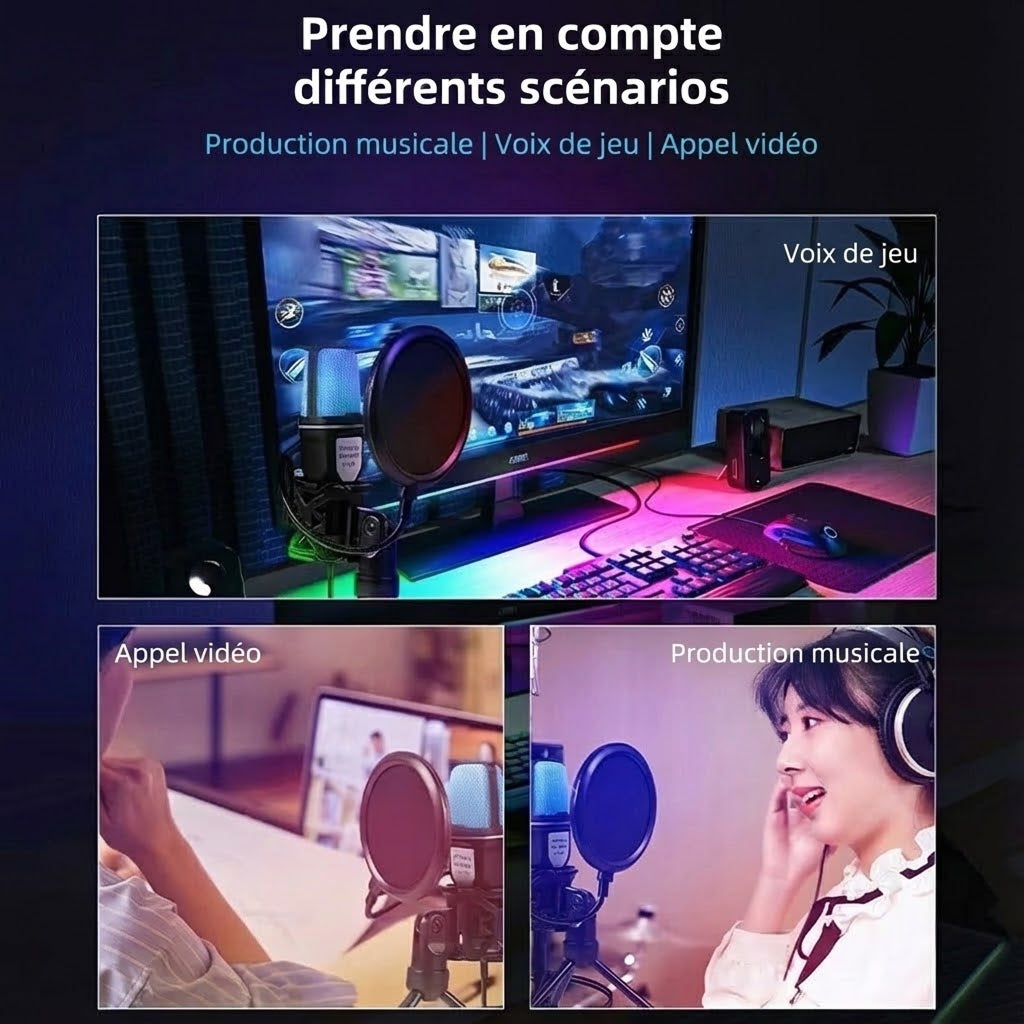 AudiVoxe