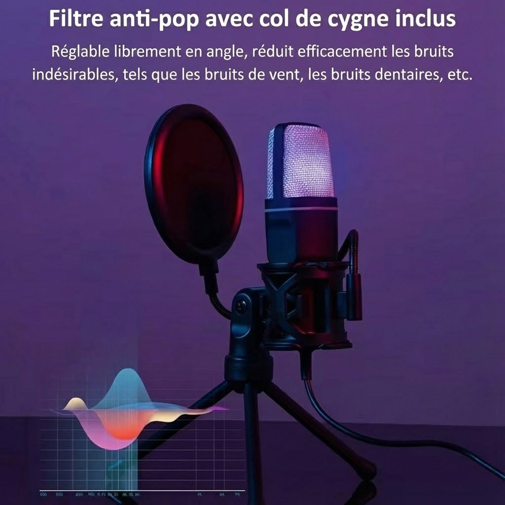 AudiVoxe