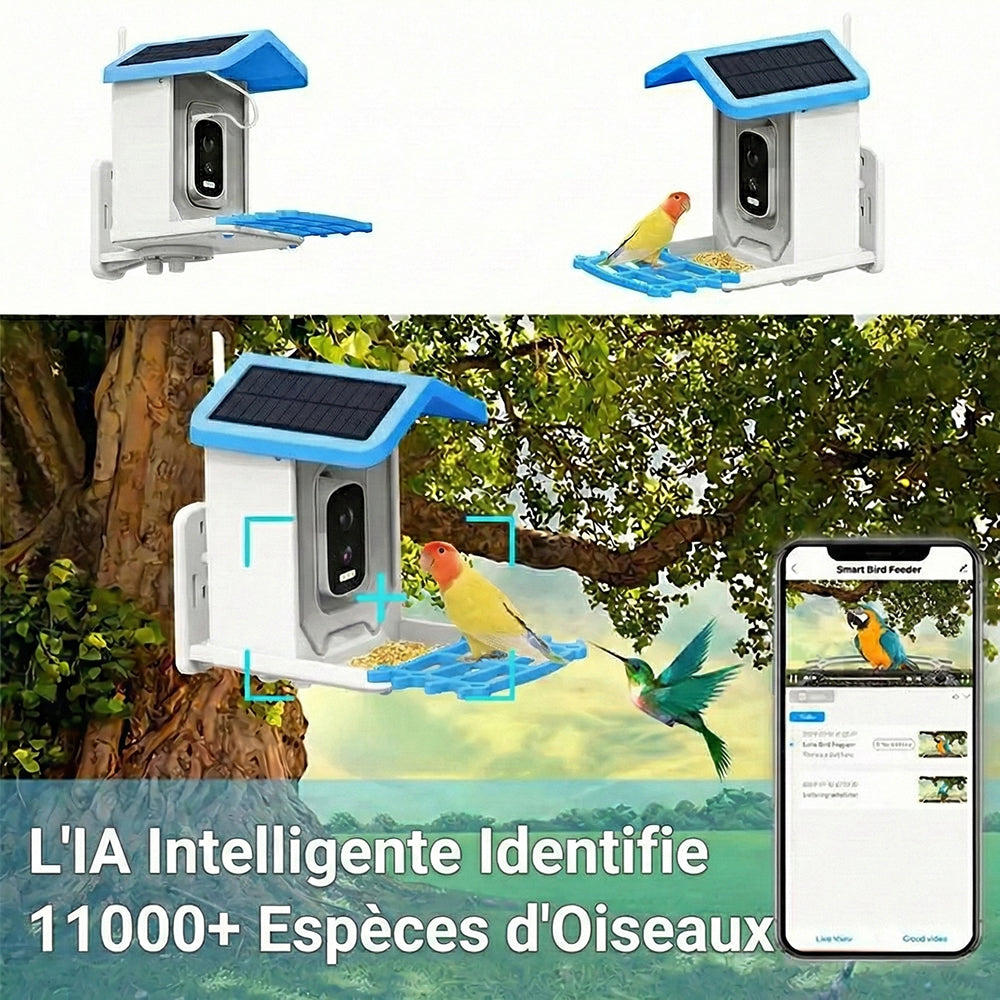 BirdiSpot