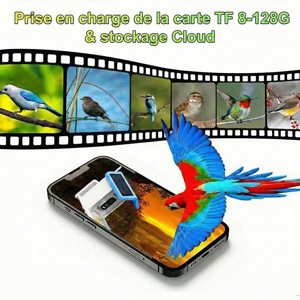 BirdiSpot