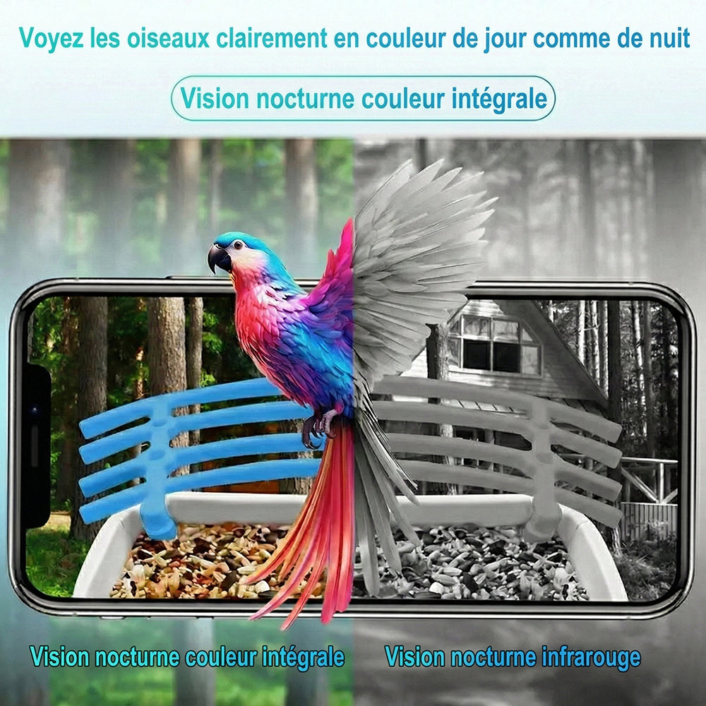 BirdiSpot