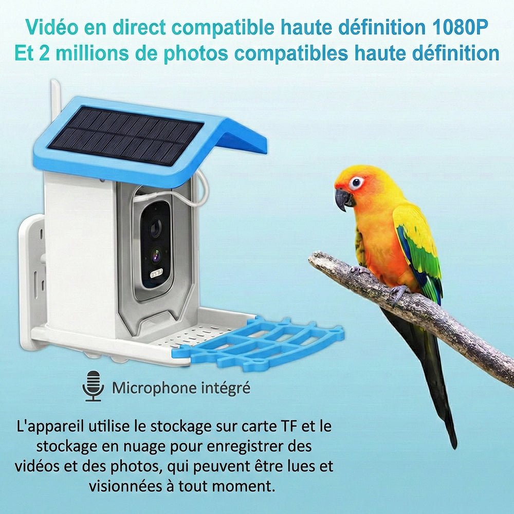 BirdiSpot