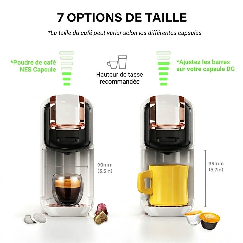 BrewNexi