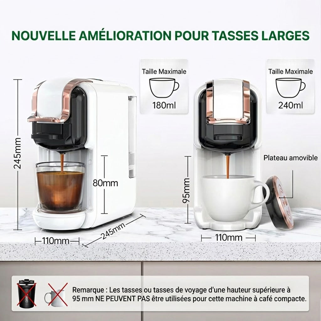 BrewNexi