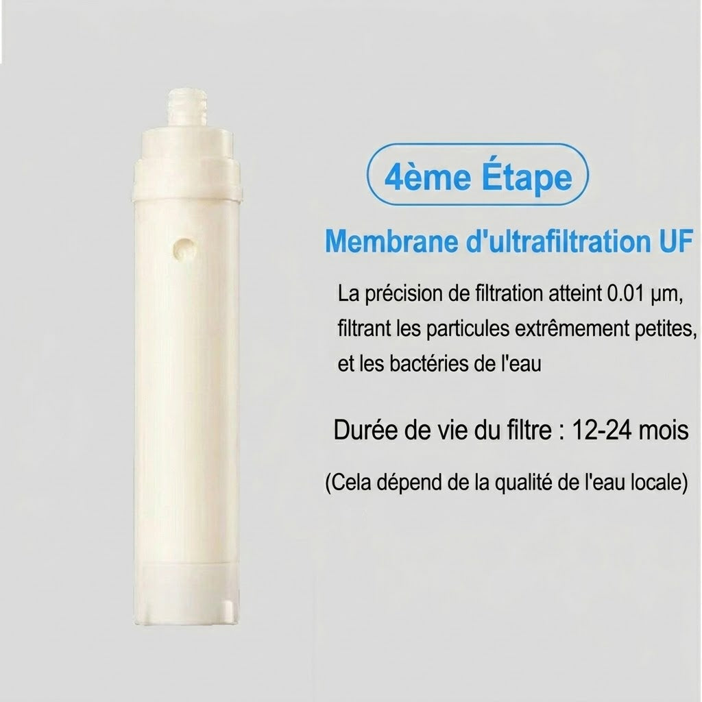 DripiSeal