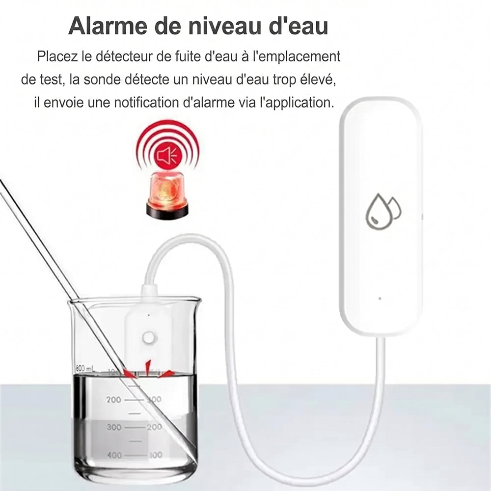 DropVeila