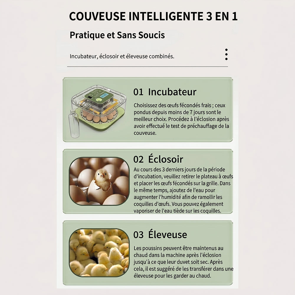 EggOriva