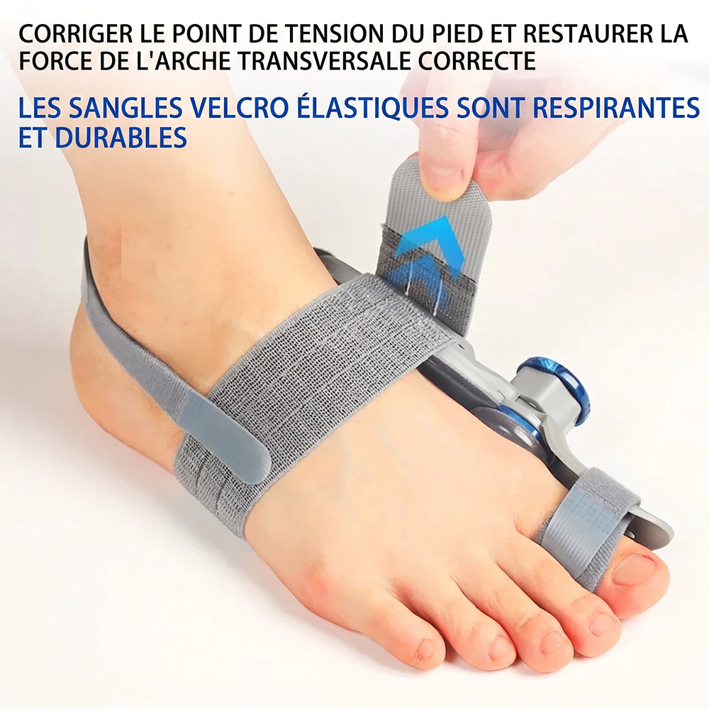 ToeAligna