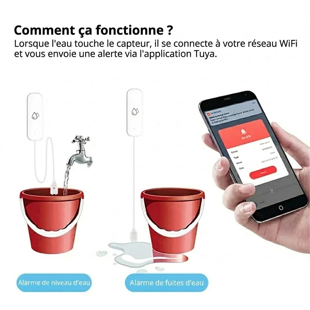 FlowSentri