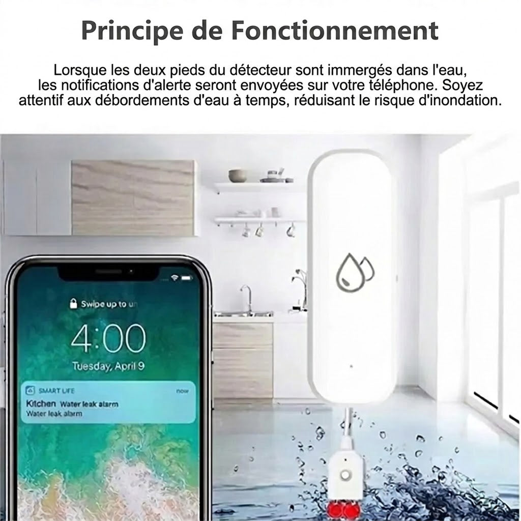 FlowSentri