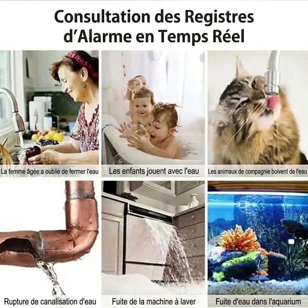 FlowSentri