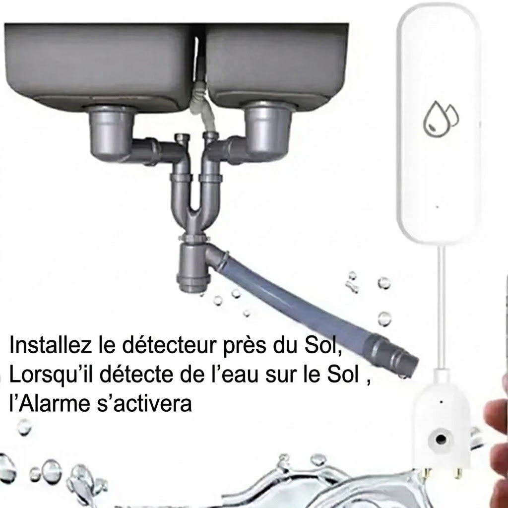 FlowSentri
