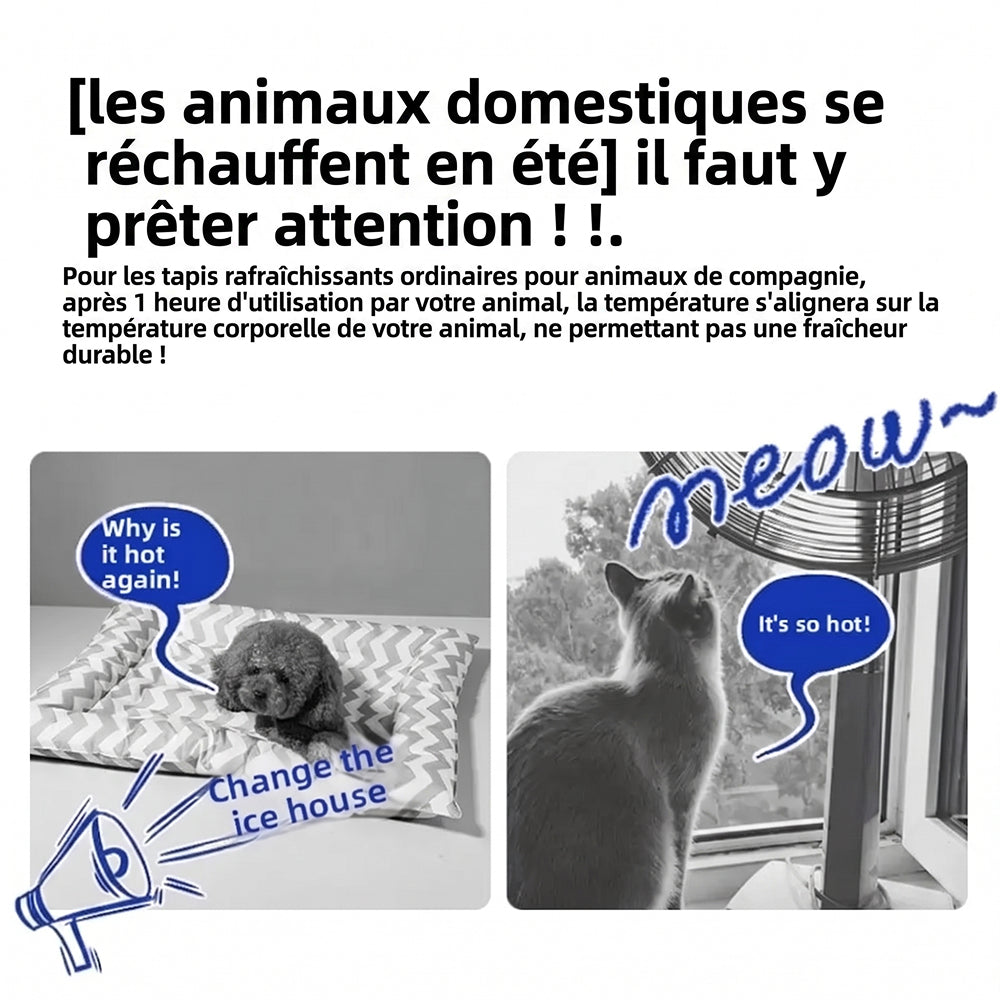 GlaciMew