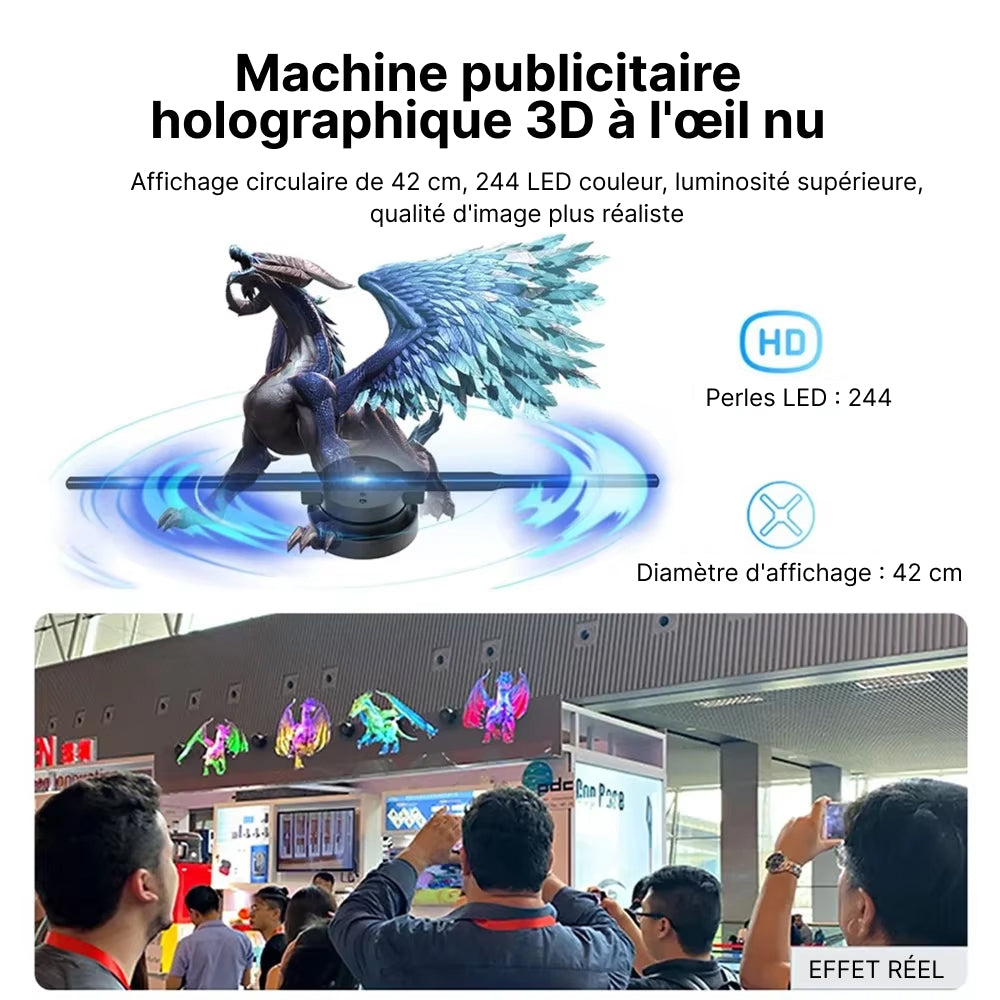 Holovoxy