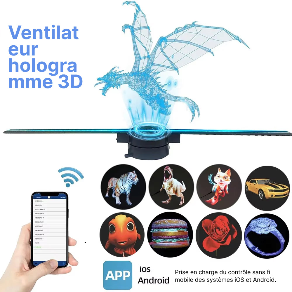 Holovoxy