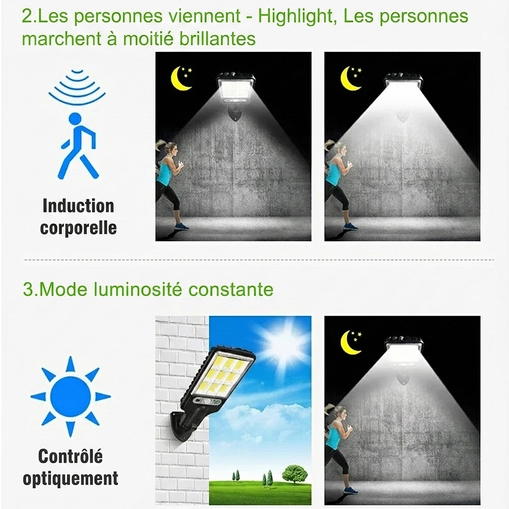 LumieFlux
