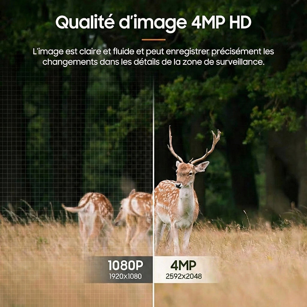 Nebulitx