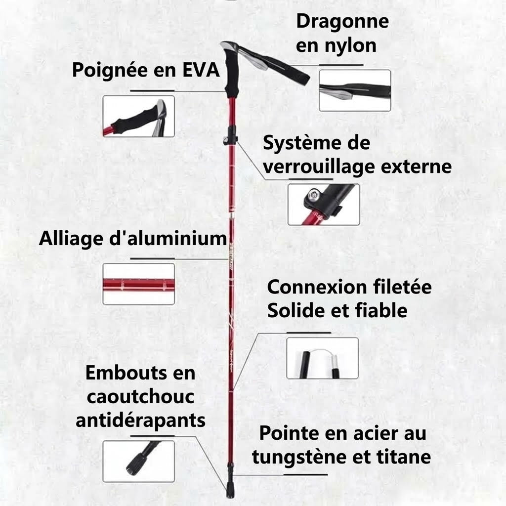 NordVaxi
