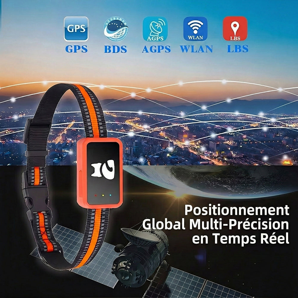 PawiSition