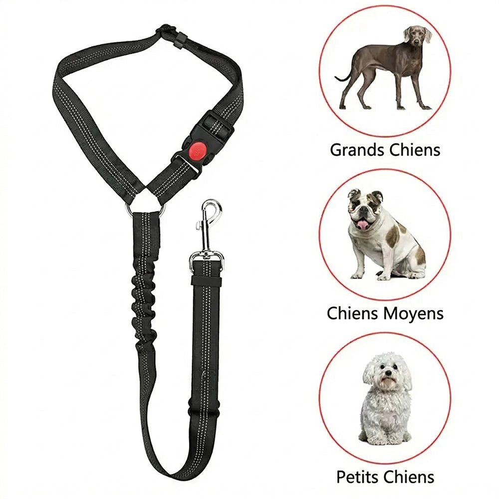 PawiStrap