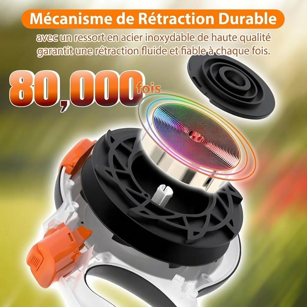 PawiZico