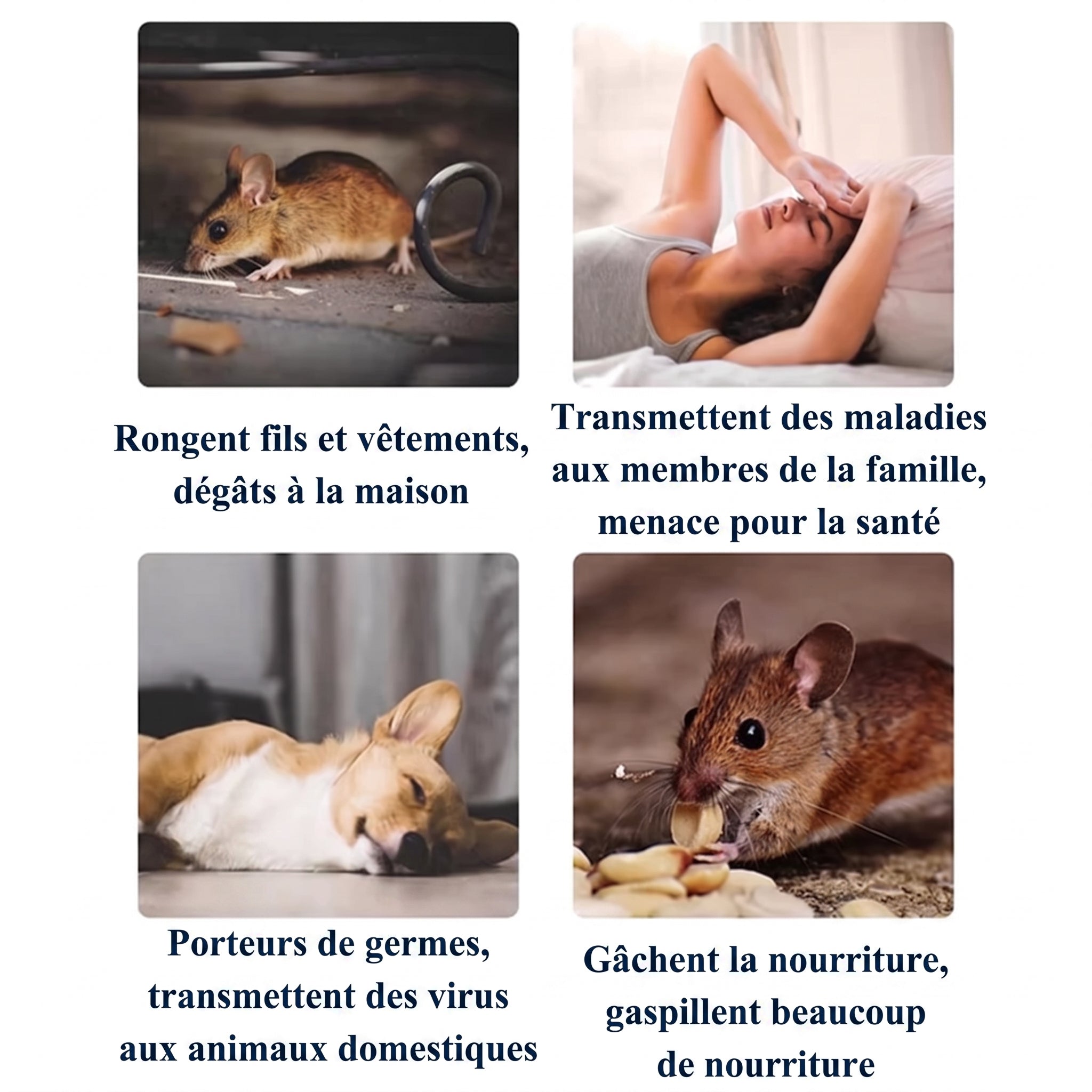 PestixOff