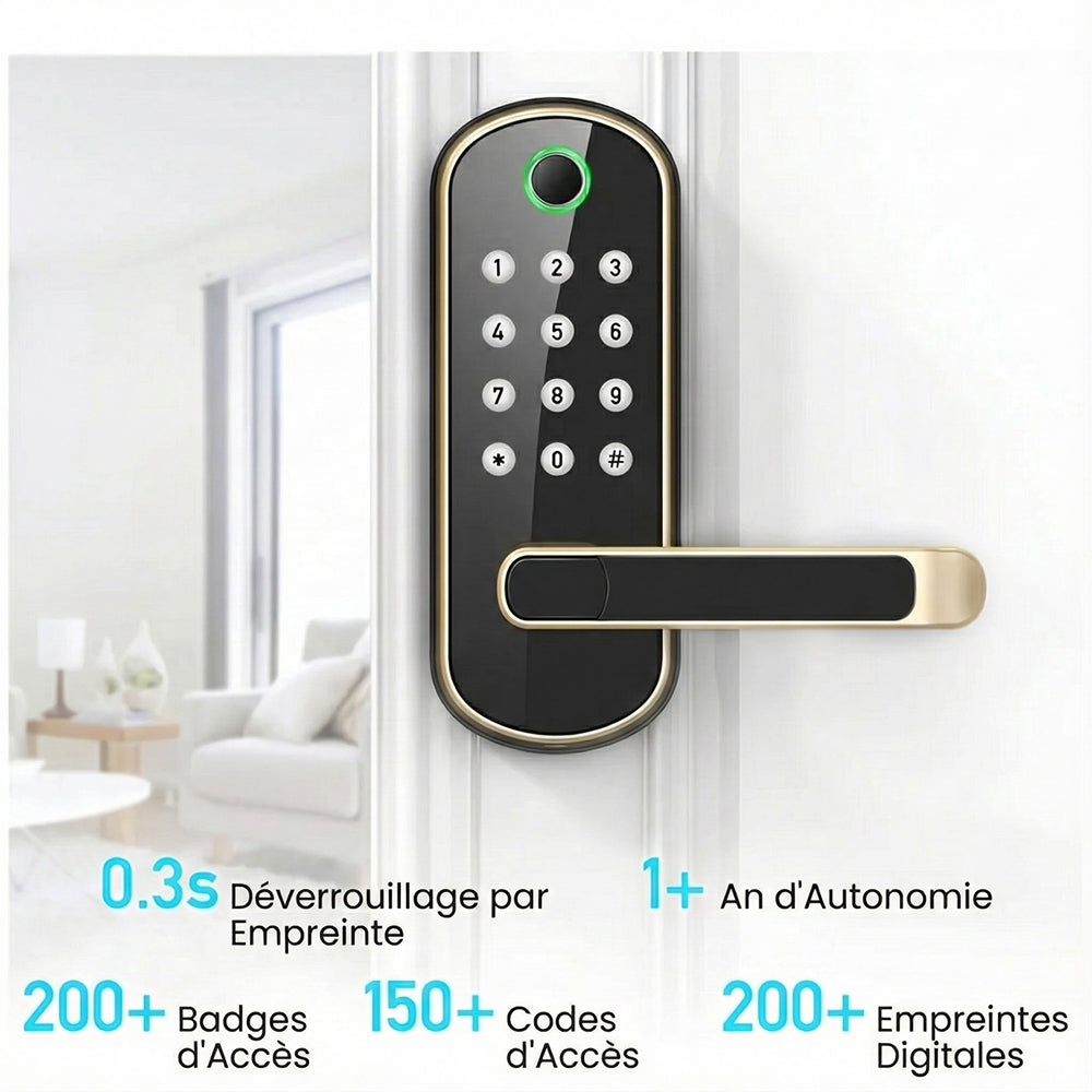 SafeeBolt