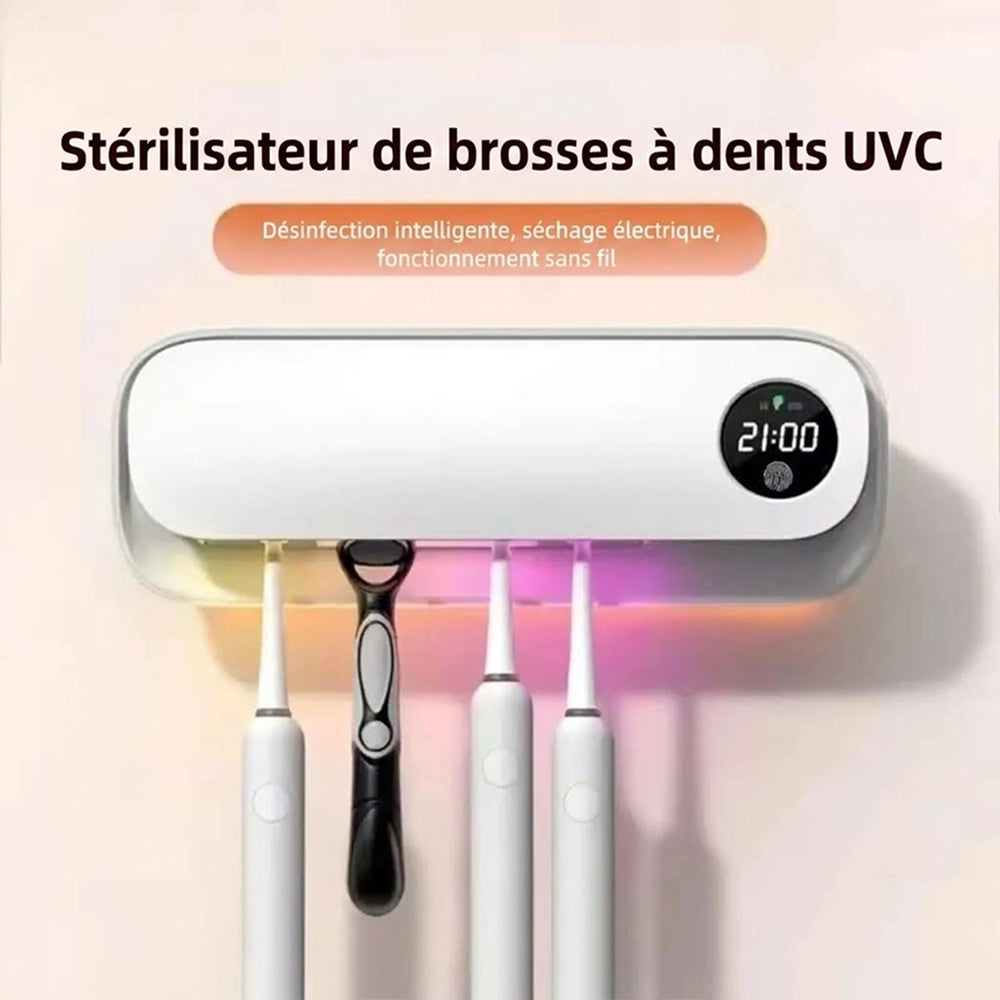 SterieBrus
