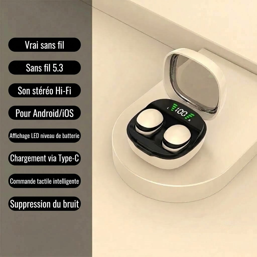 VoxmiRha