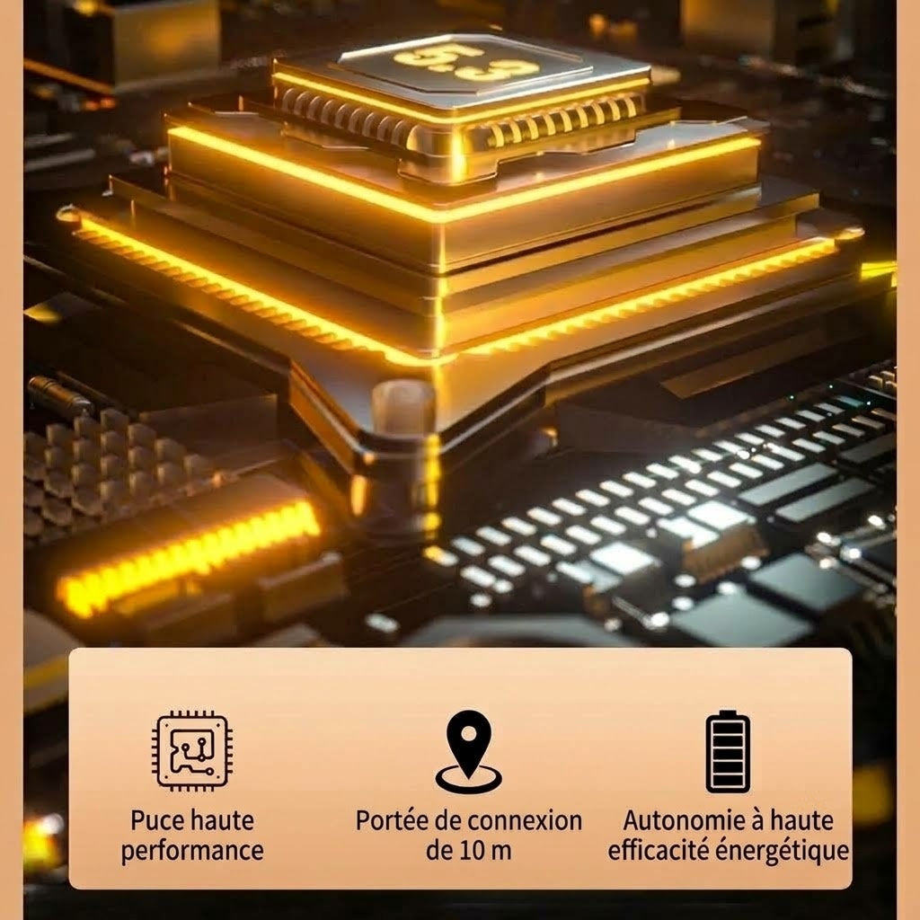 VoxmiRha